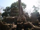 Wiekowe mury Ta Prohm i zwyci�ska d�ungla